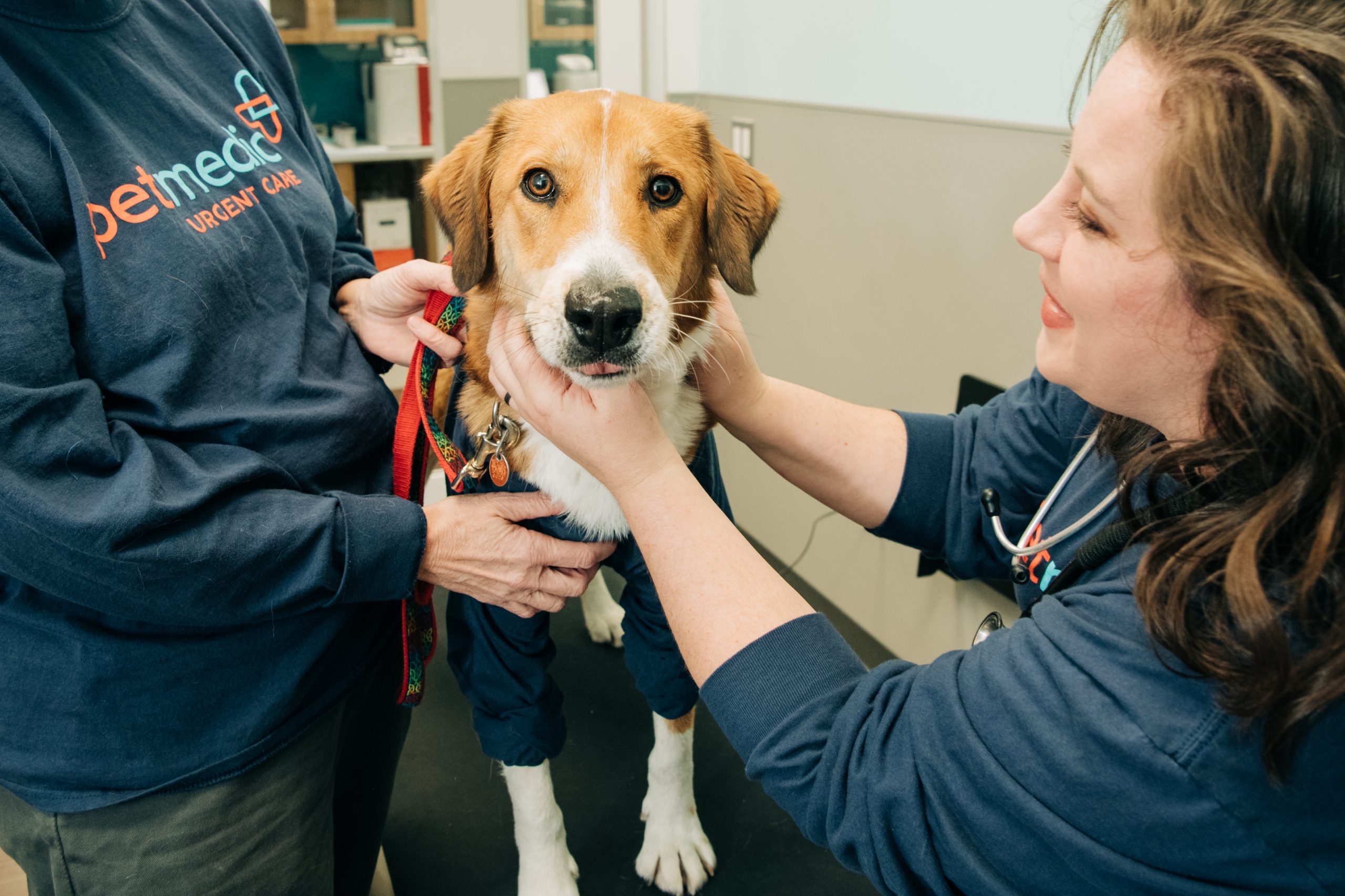 PetMedic Urgent Care Vet Clinic to Open Two Additional Massachusetts  Locations as Part of Expansive Growth Plan - PetMedic Urgent Care Vet Clinic