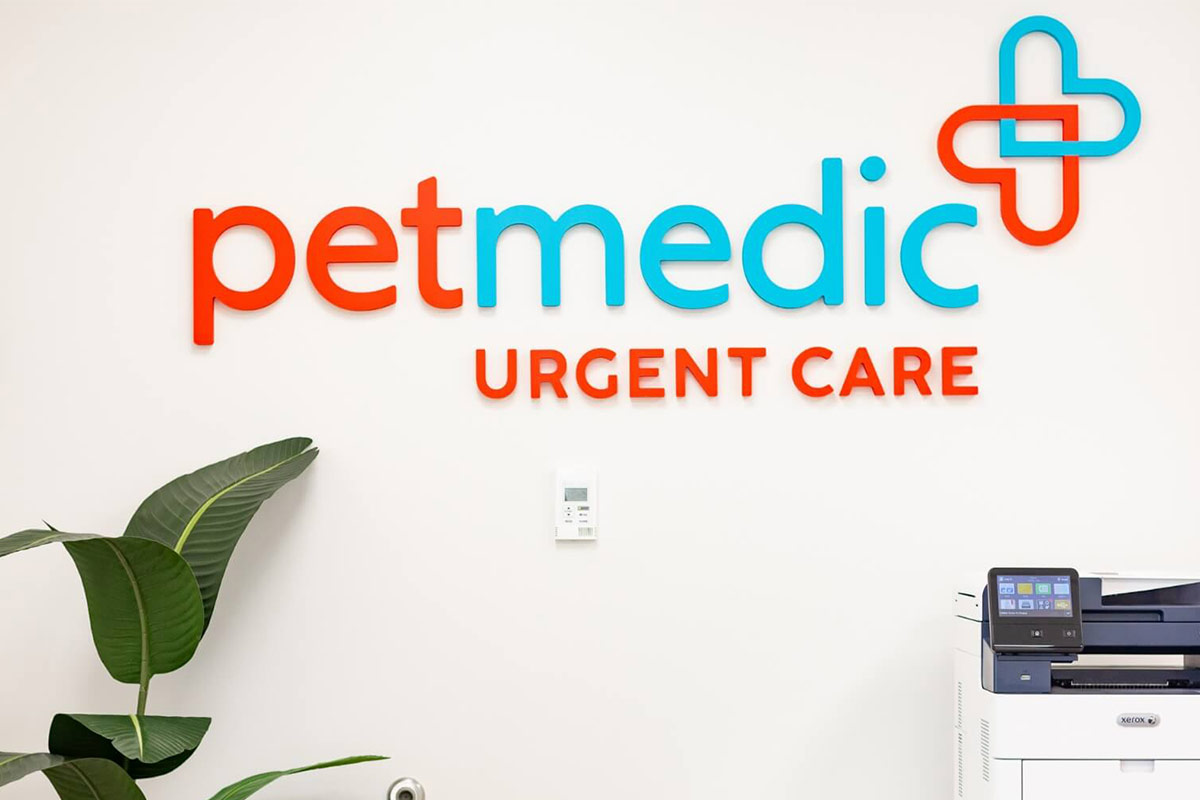 Fashion urgent care pet hospital