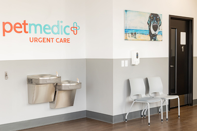 PetMedic Urgent Care Vet Clinic - Portsmouth PetMedic Urgent Care Vet Clinic - Portsmouth