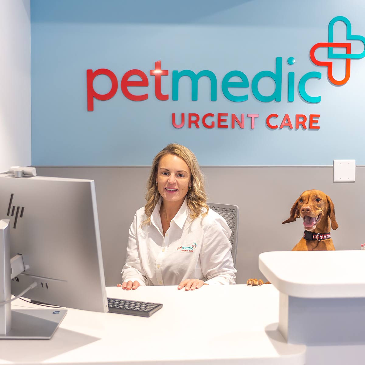 Petmedic Urgent Care Vet Clinic Westborough Reviews Albany, NY - PetMedic Urgent Care Vet Clinic