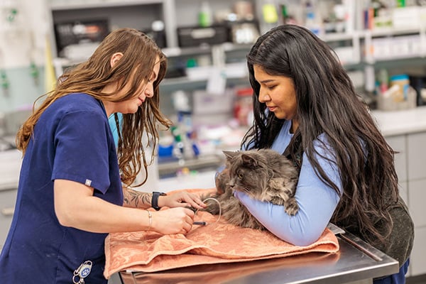 vet techs with dog