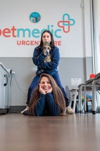 petmedic warwick employees