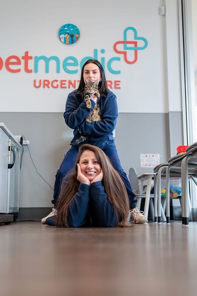 petmedic warwick employees