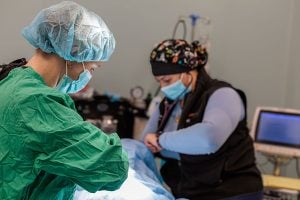 vet doing surgery on dog