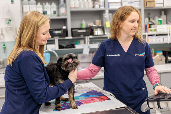 staff smiling at dog