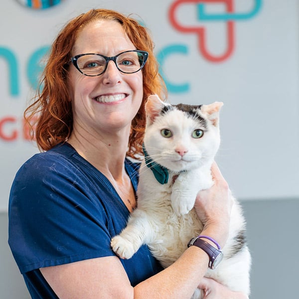 Erin Vet Assistant