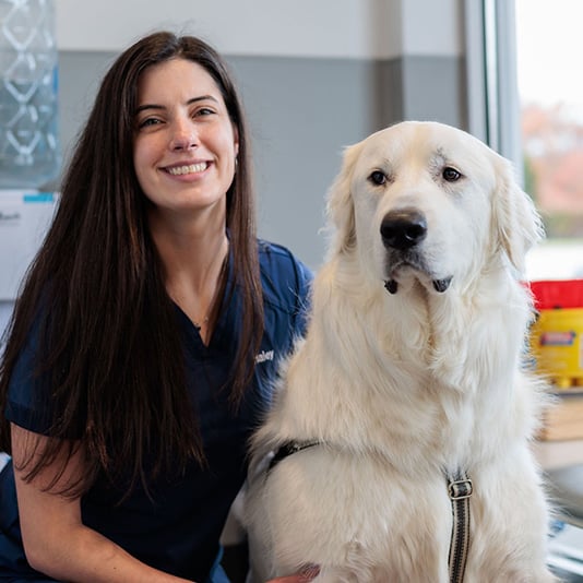 Haley Vet Assistant