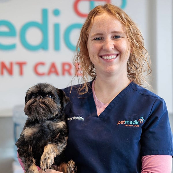 Kelsey Vet