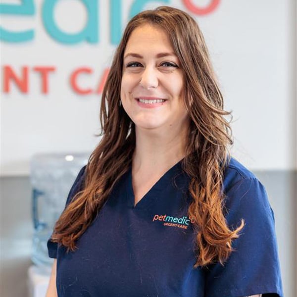 Kelsey Vet Assistant