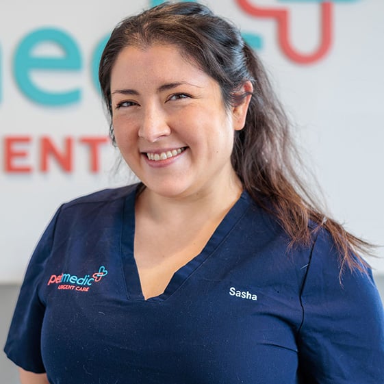 Sasha Vet Assistant